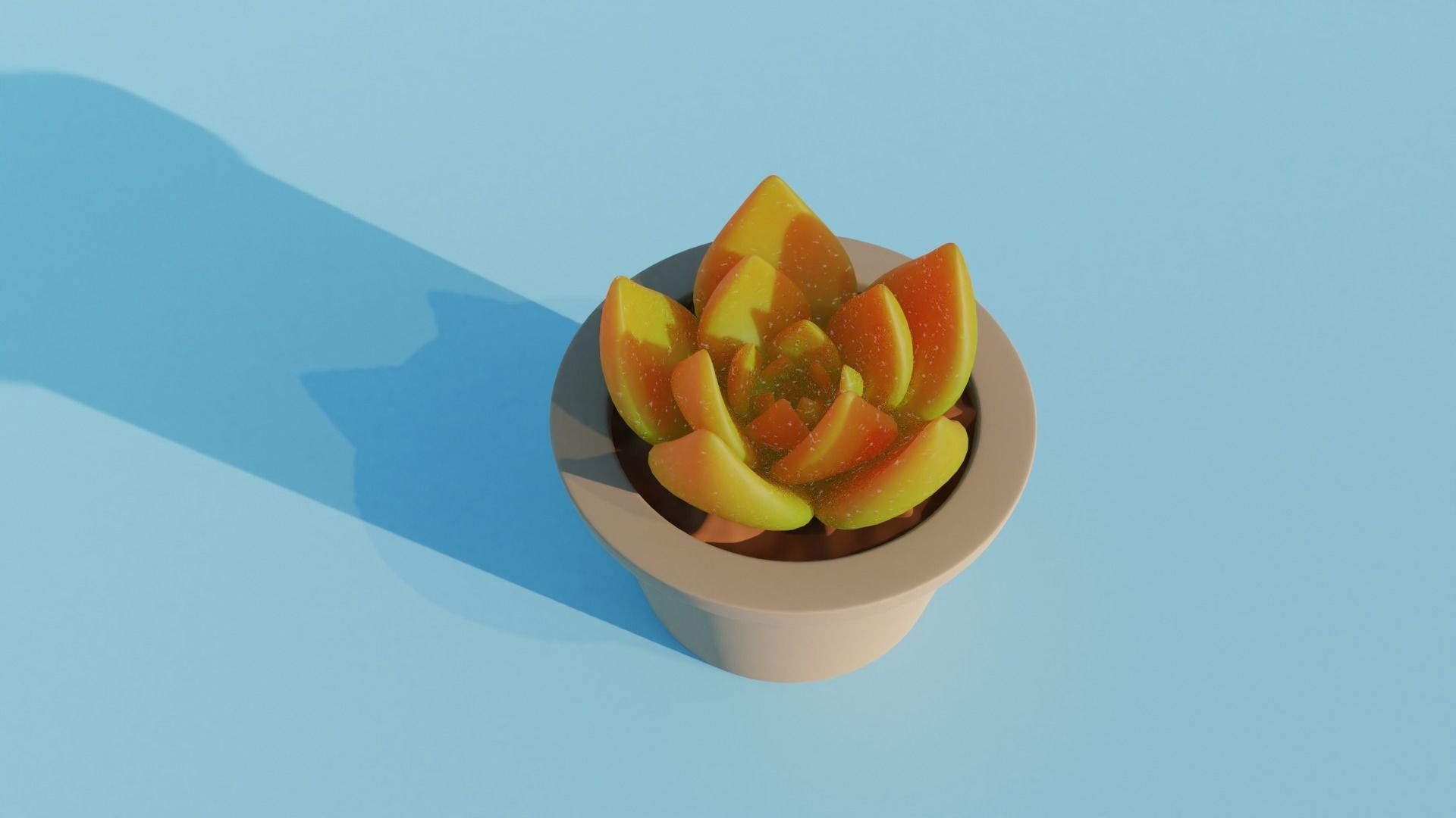 Succulent plant in pot 3D model_2