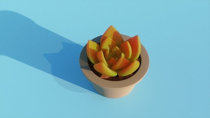 Succulent plant in pot 3D model