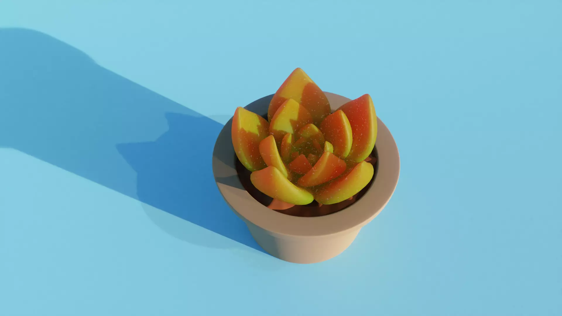 Succulent plant in pot 3D model_0