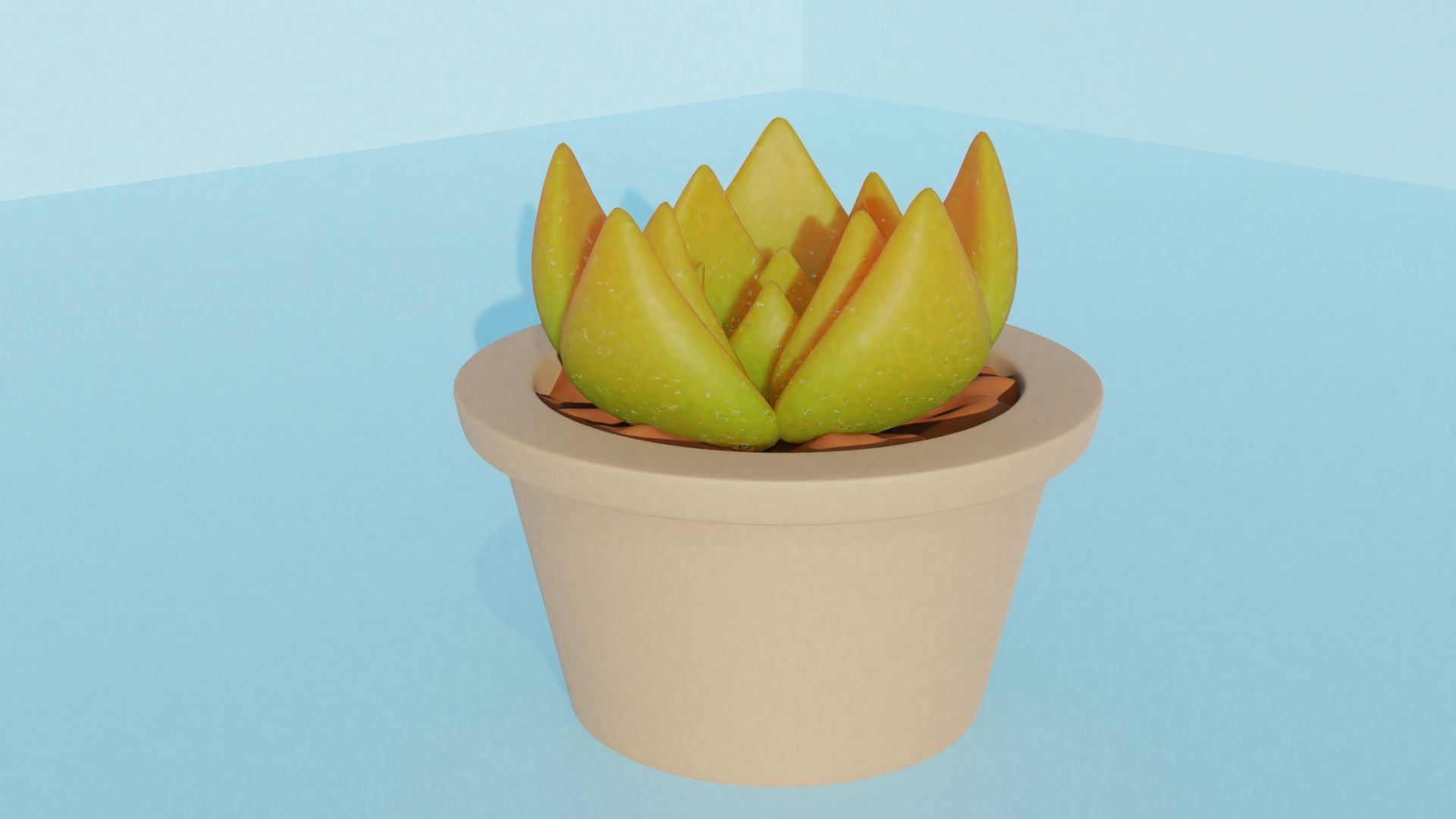Succulent plant in pot 3D model_5
