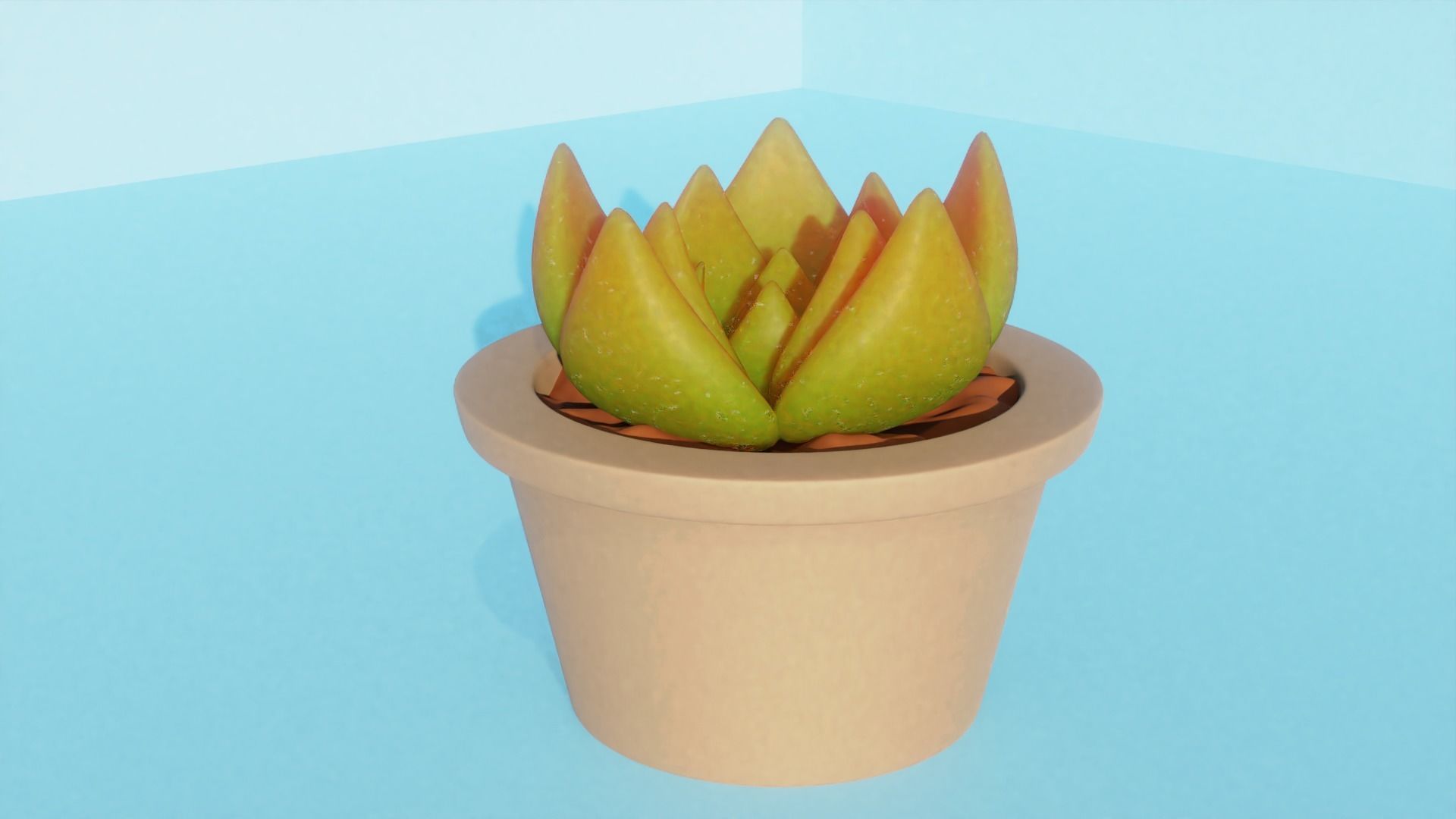 Succulent plant in pot 3D model_6