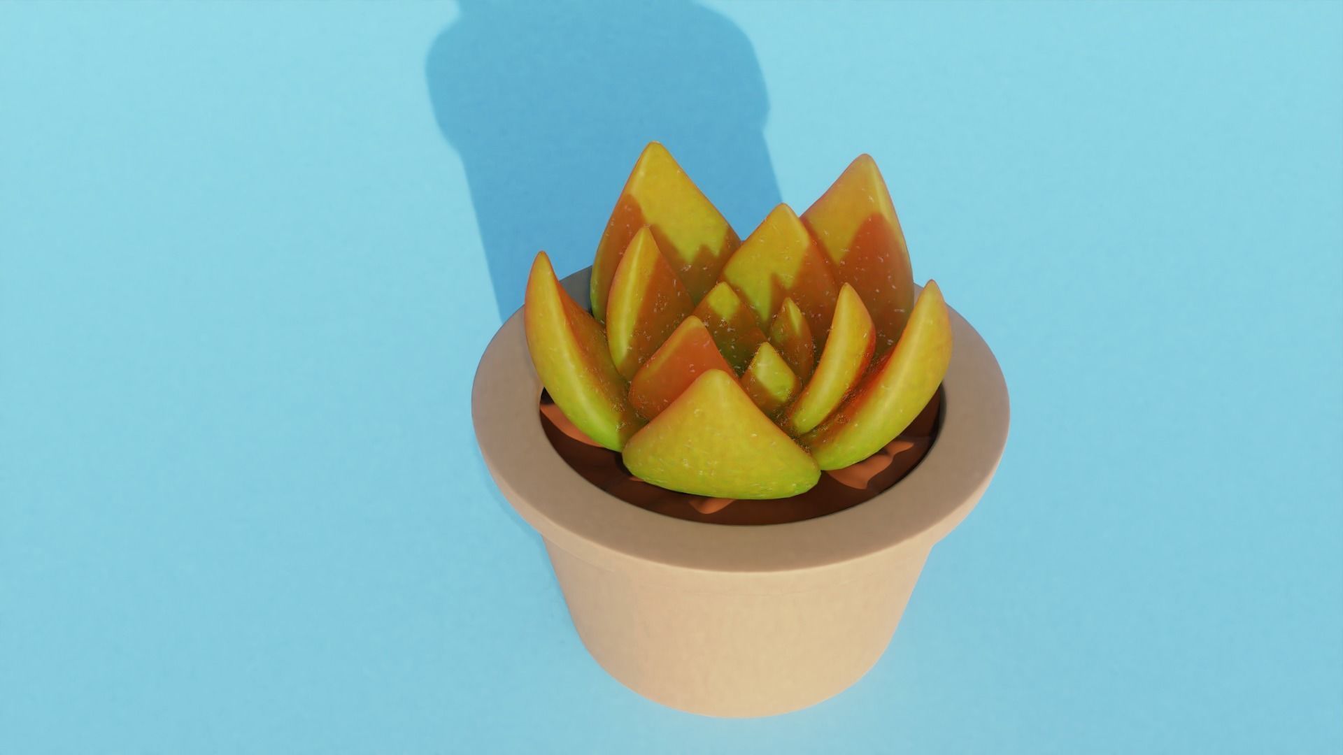 Succulent plant in pot 3D model_3