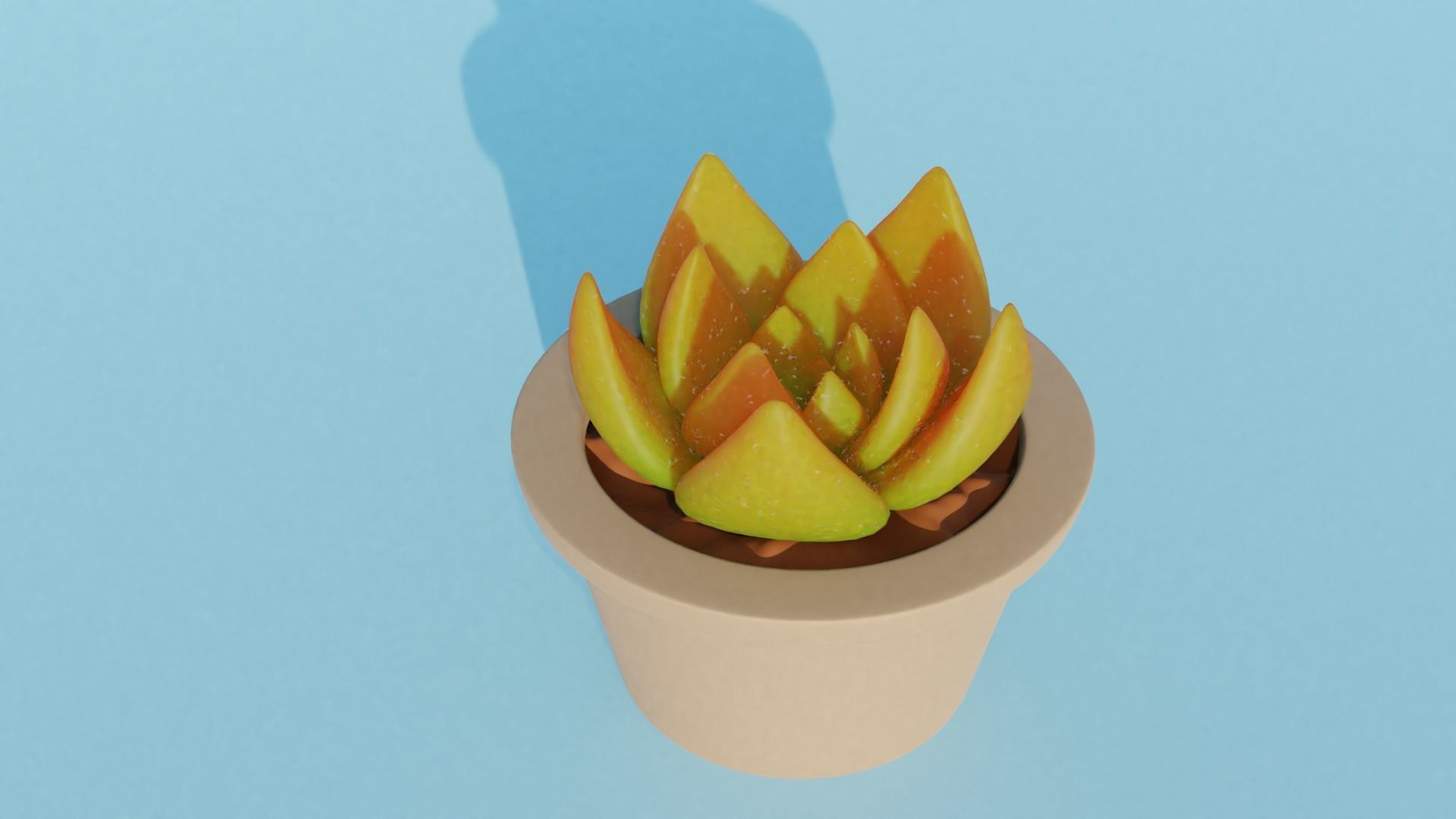 Succulent plant in pot 3D model_4