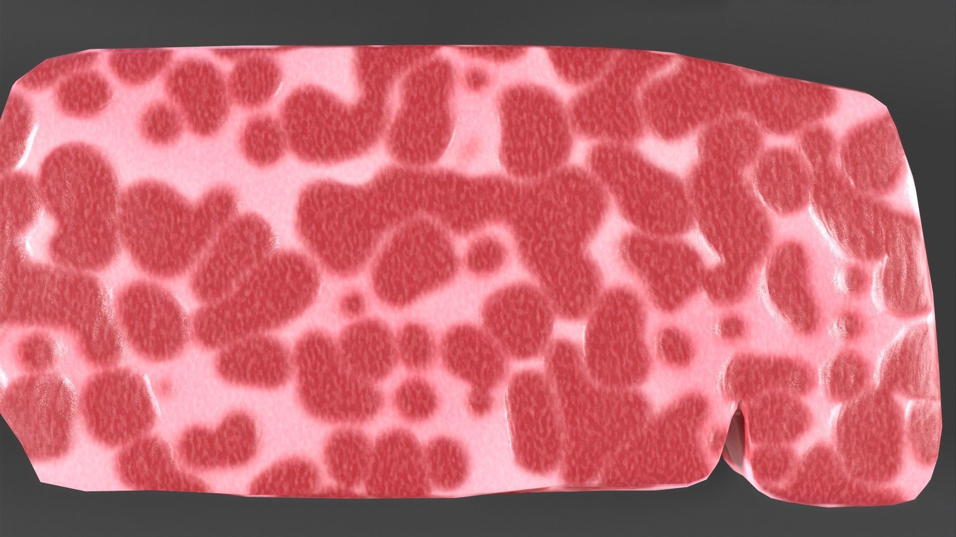 Beef Steak Low-poly 3D model_4