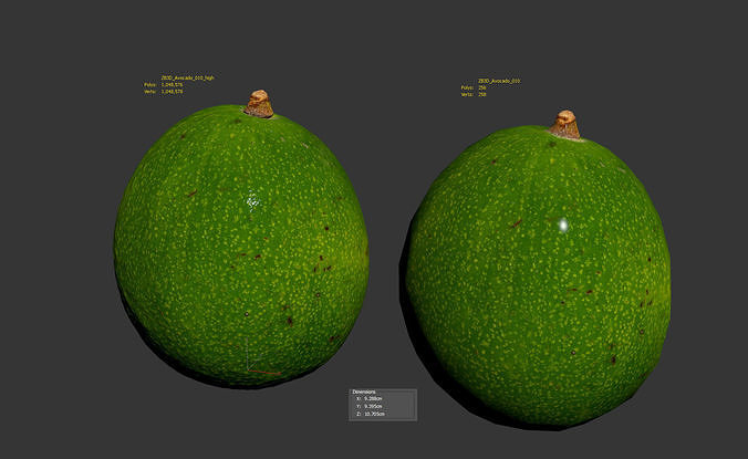 Avocado 3D model 6