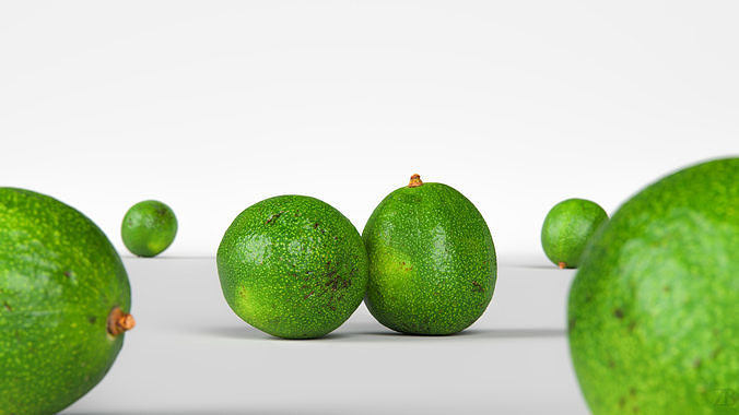 Avocado 3D model 2