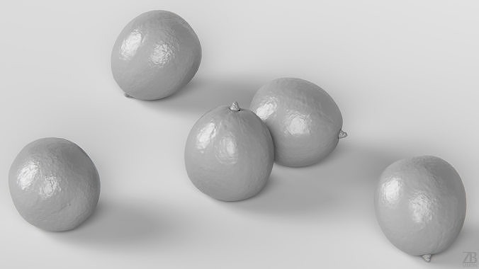 Avocado 3D model 4