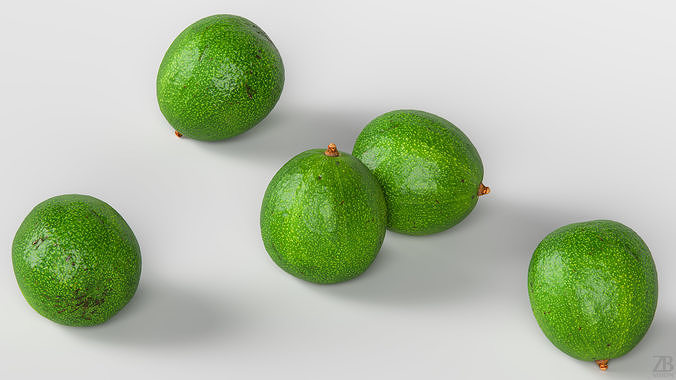 Avocado 3D model 3