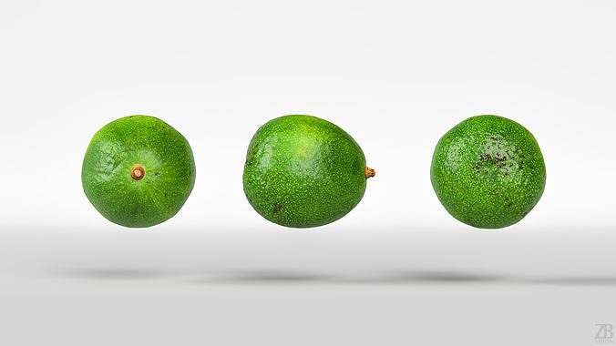 Avocado 3D model 5