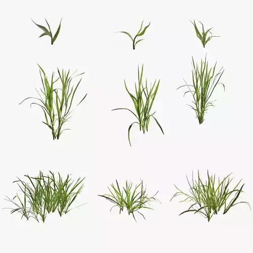 Grass Kit VFX Grace 3D model