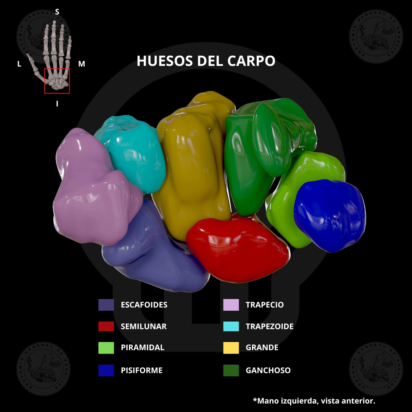 Left hand 3D print model_2