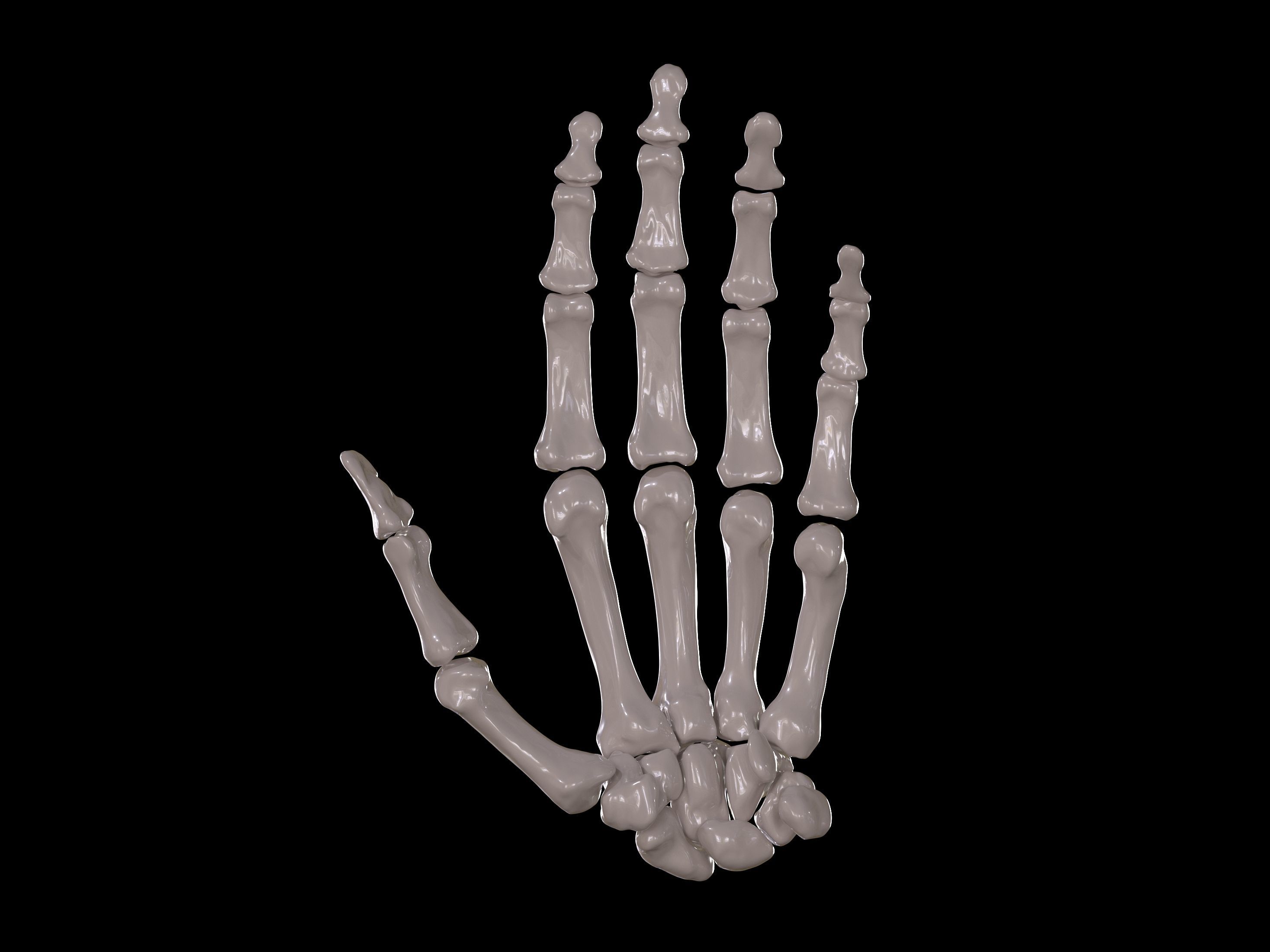 Left hand 3D print model_3