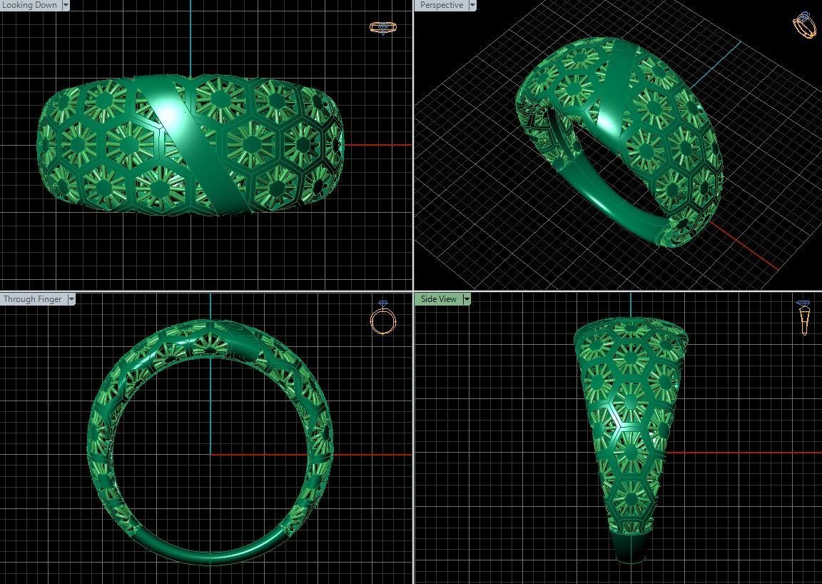 ring fusion  3D print model_1