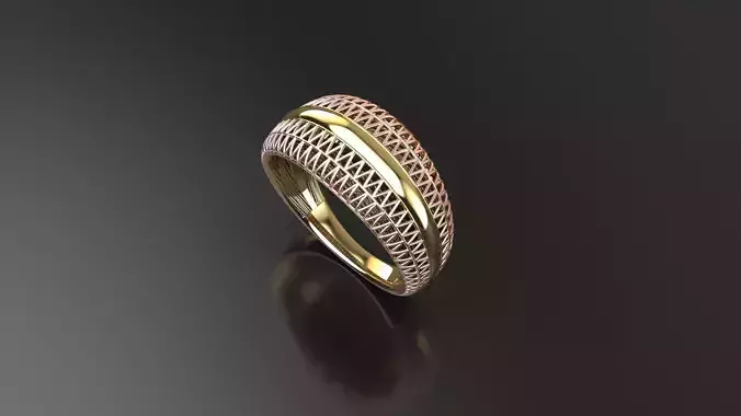 RING FUSION  3D print model