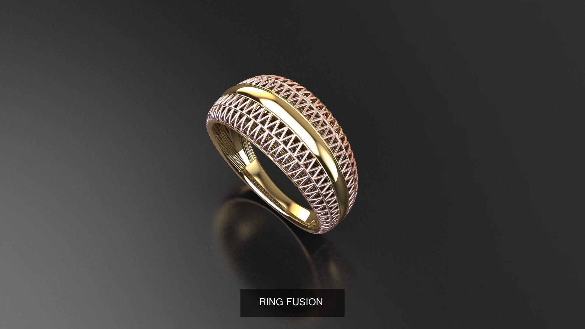 fusion ring  3D Model Collection_3