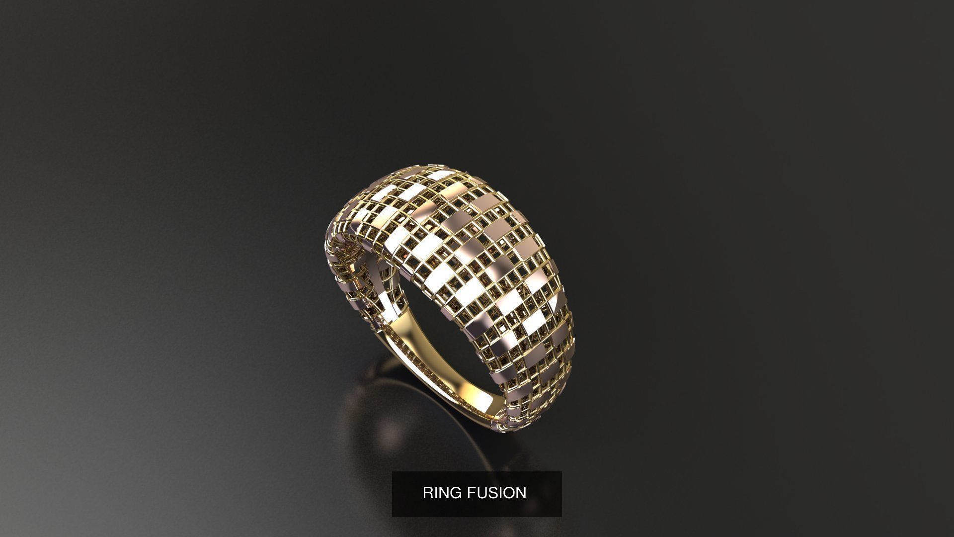 fusion ring  3D Model Collection_2