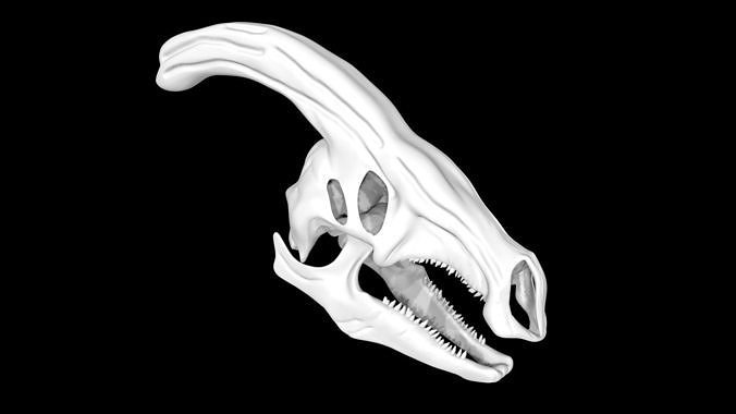 Parasaurolophus skull Low-poly 3D model