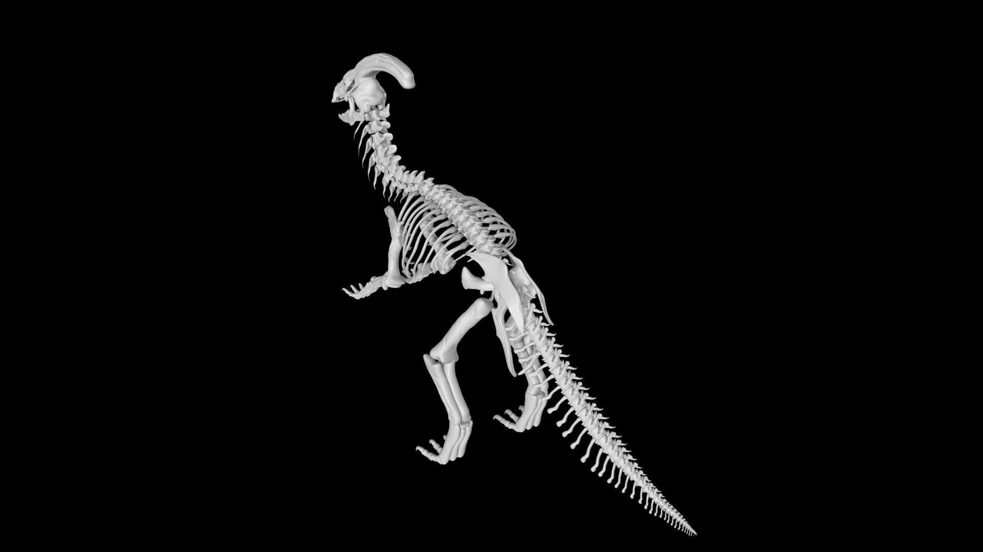Parasaurolophus skeleton Low-poly 3D model_6