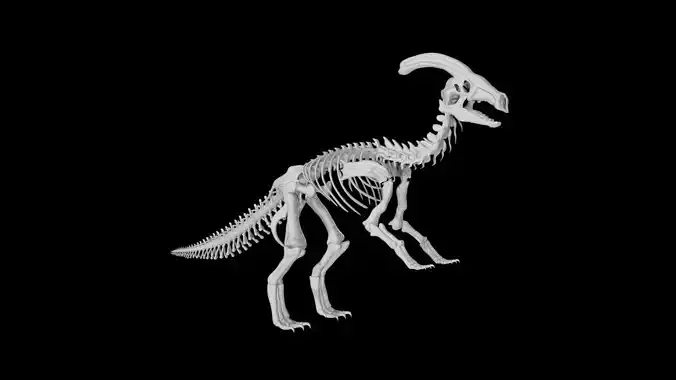 Parasaurolophus skeleton Low-poly 3D model