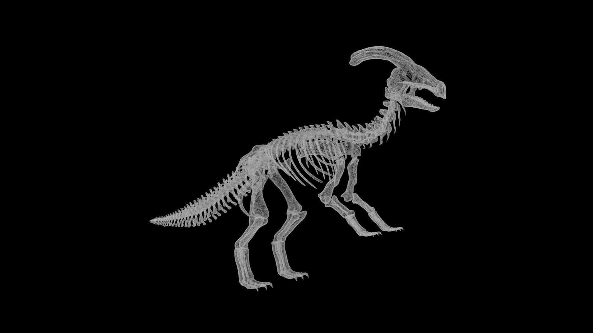 Parasaurolophus skeleton Low-poly 3D model_8