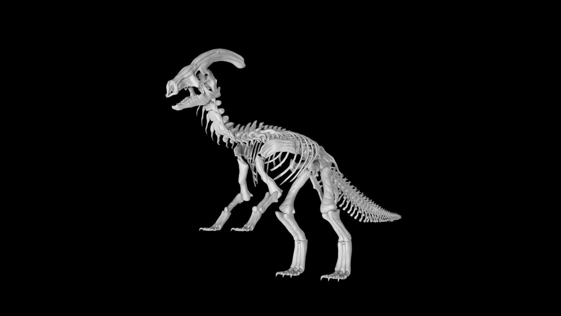 Parasaurolophus skeleton Low-poly 3D model_3