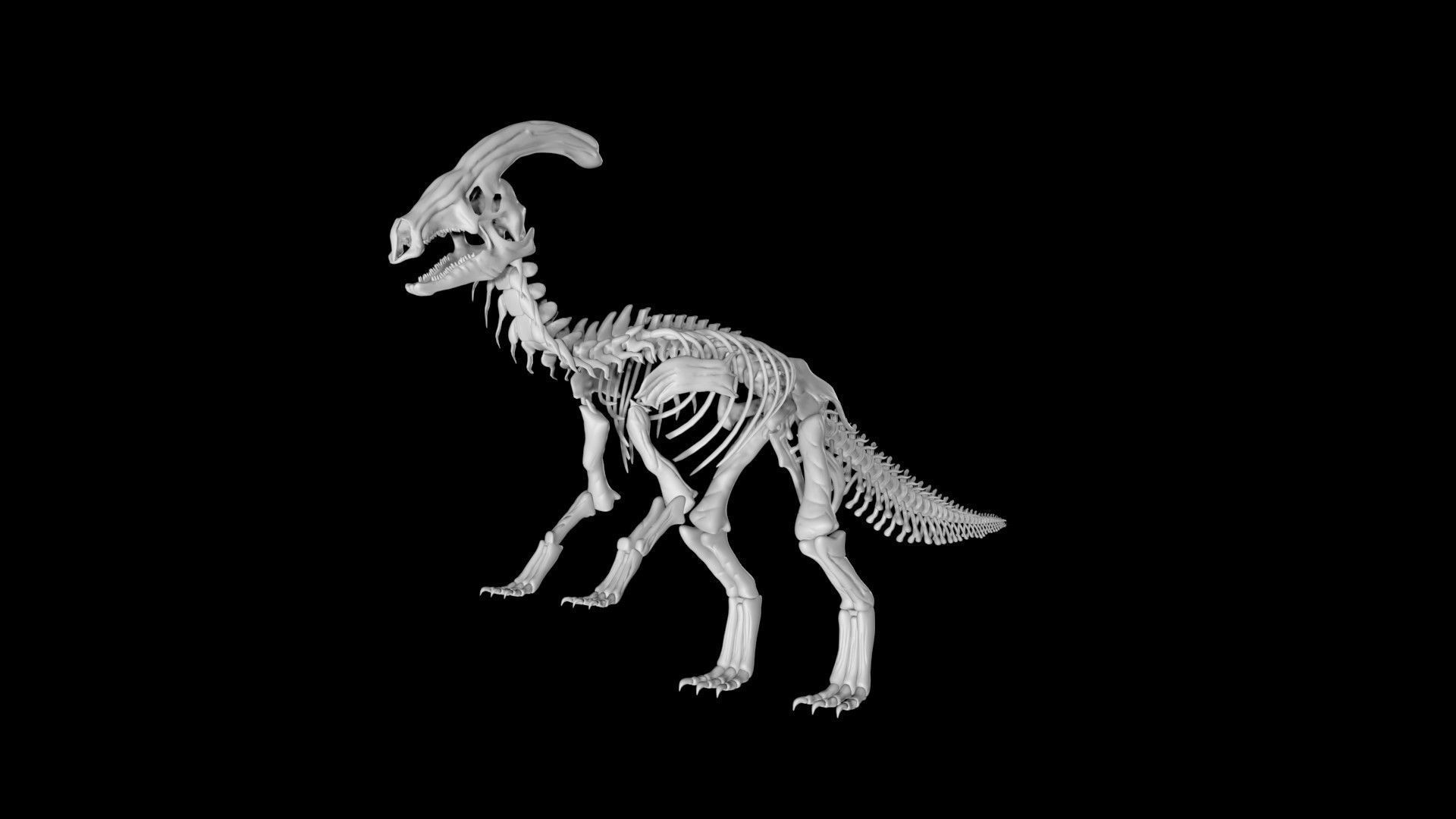 Parasaurolophus skeleton Low-poly 3D model_7