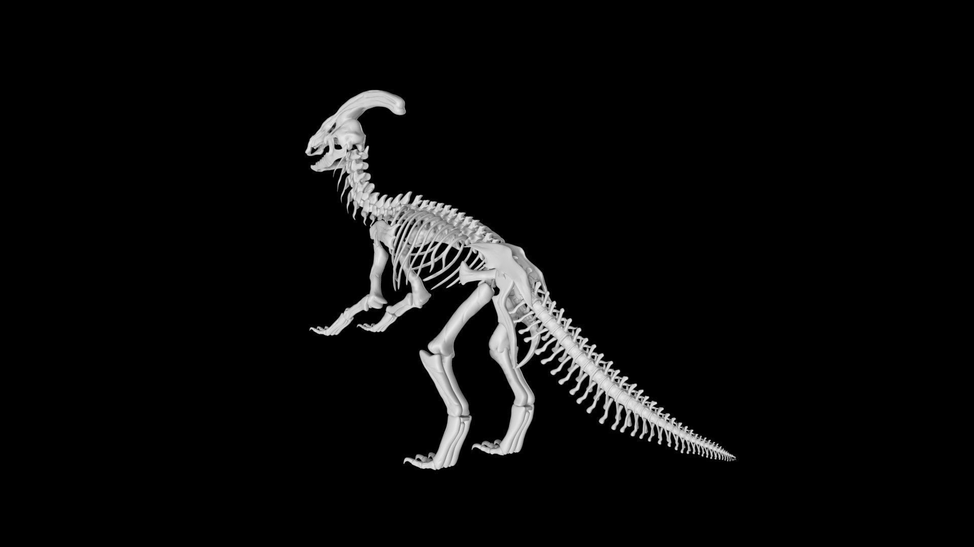 Parasaurolophus skeleton Low-poly 3D model_5