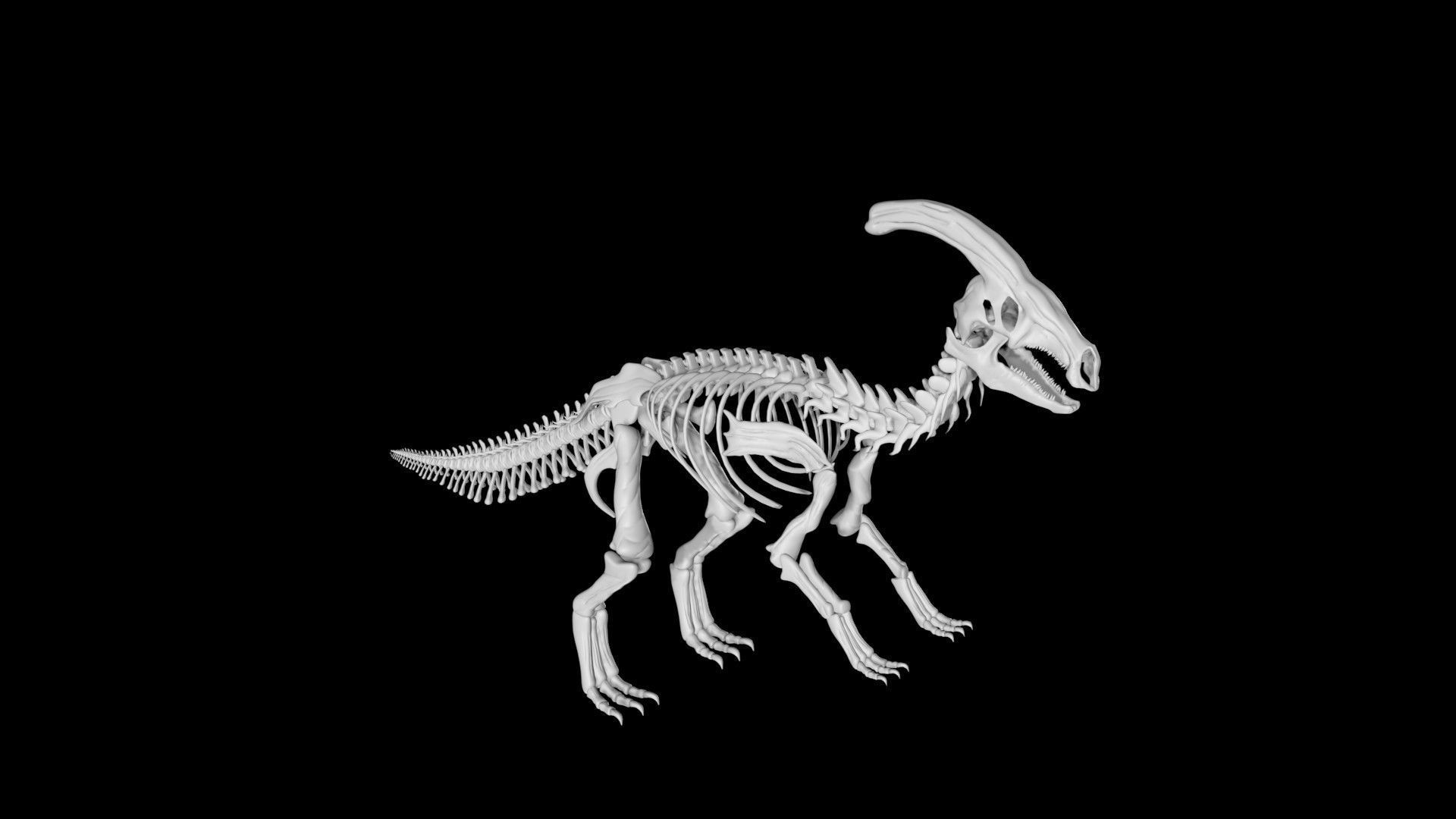 Parasaurolophus skeleton Low-poly 3D model_2