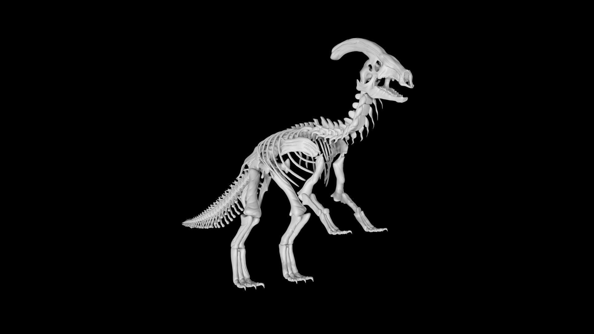 Parasaurolophus skeleton Low-poly 3D model_1