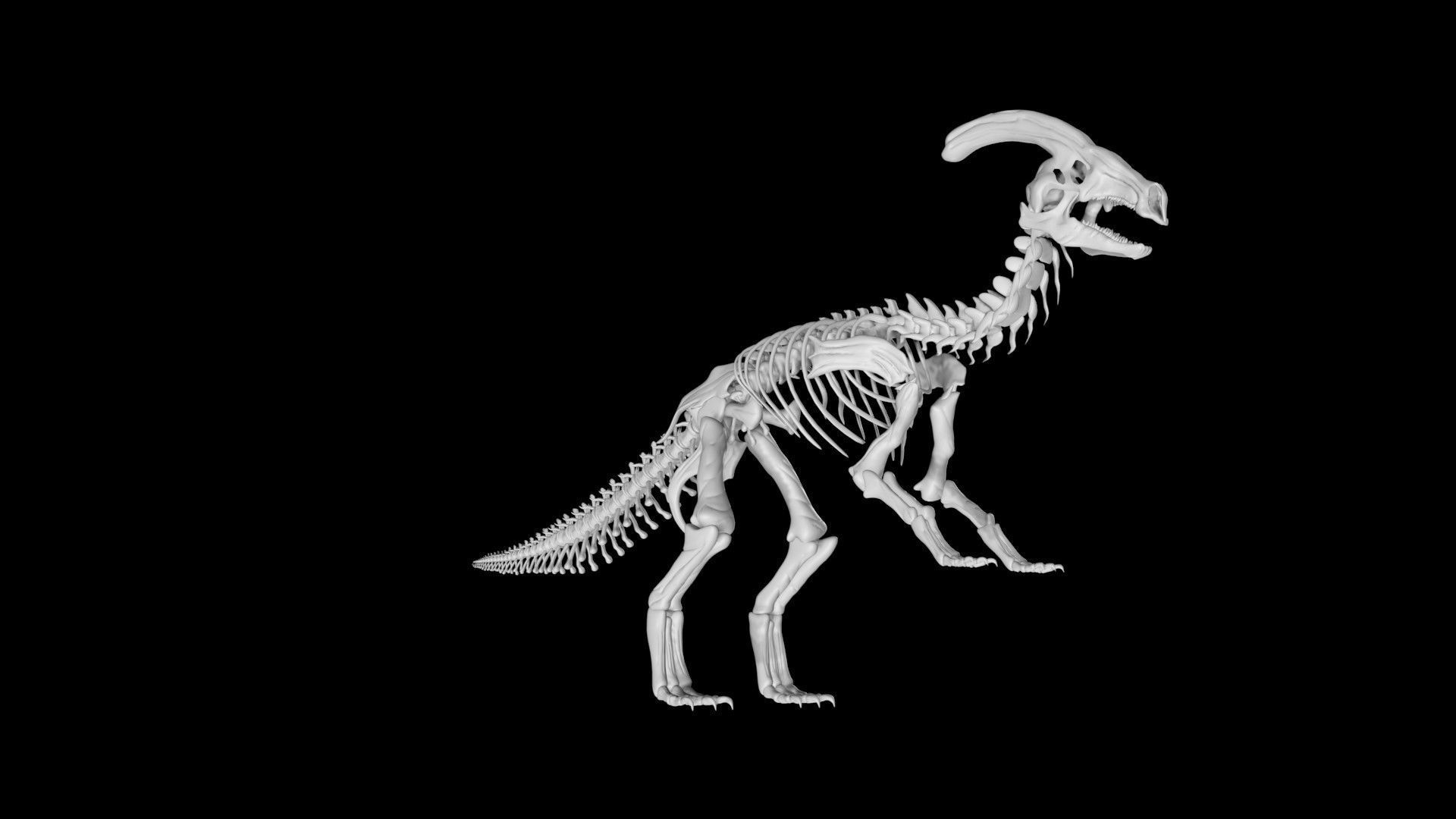 Parasaurolophus skeleton Low-poly 3D model_4