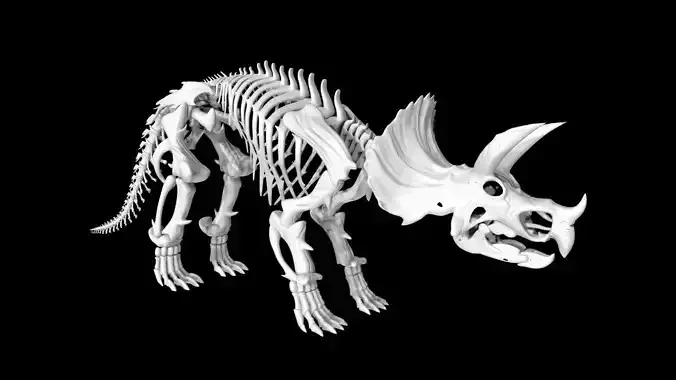 Triceratops skeleton Low-poly 3D model