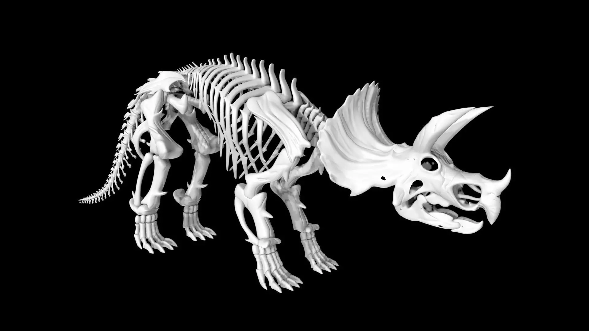 Triceratops skeleton Low-poly 3D model_0
