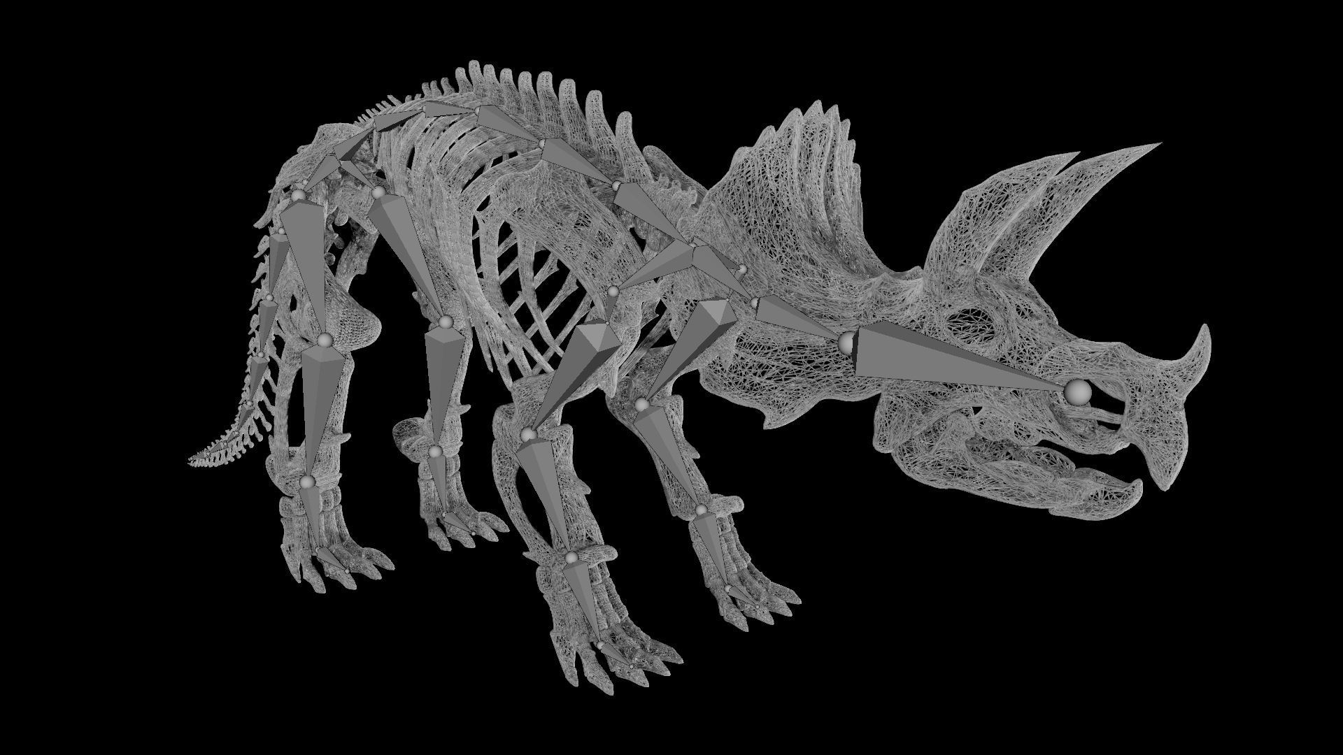 Triceratops skeleton Low-poly 3D model_6