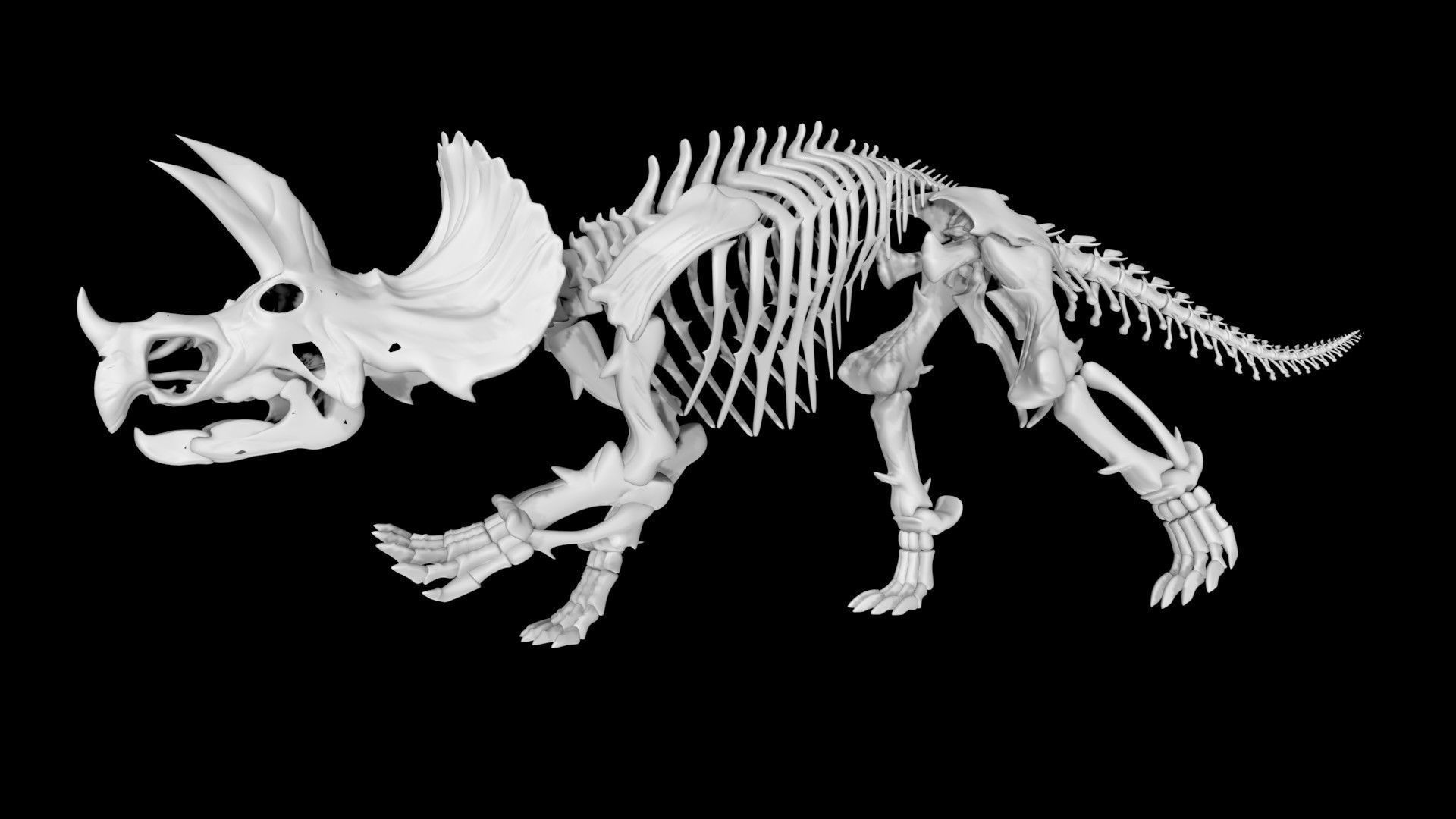 Triceratops skeleton Low-poly 3D model_5