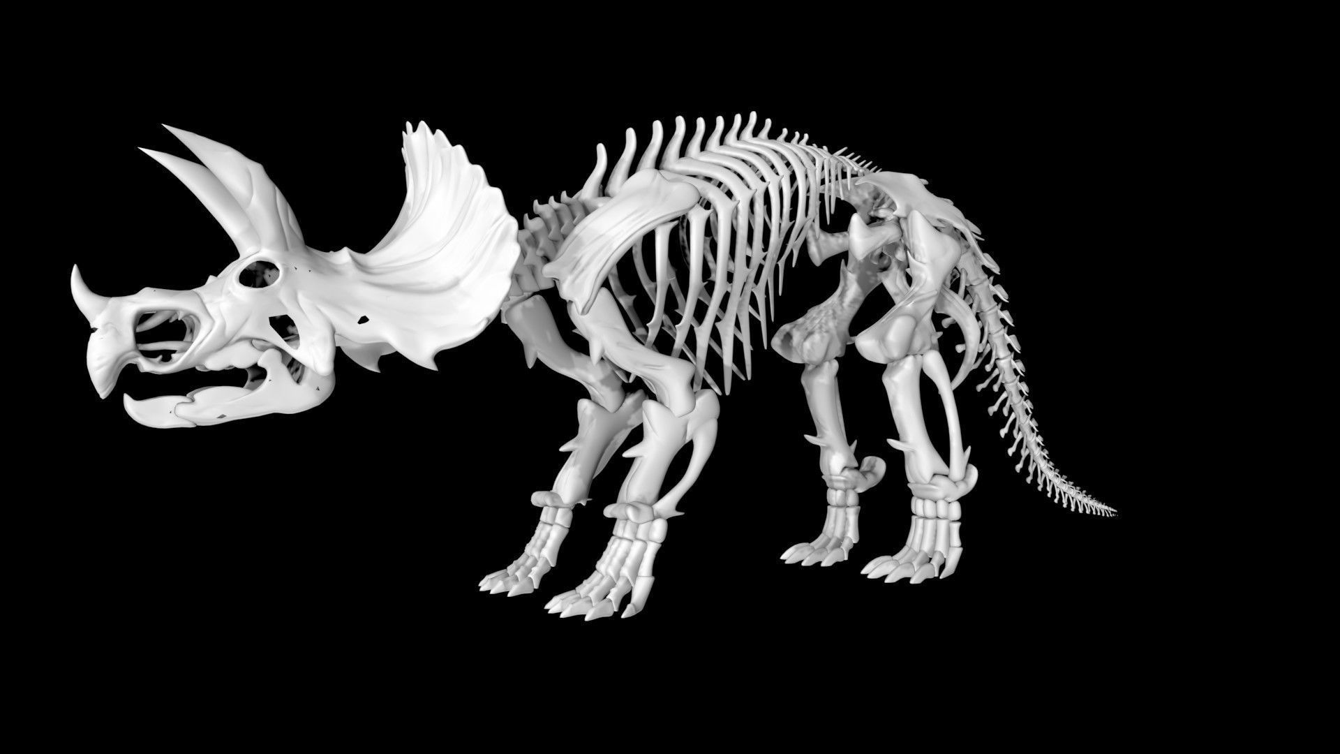 Triceratops skeleton Low-poly 3D model_4