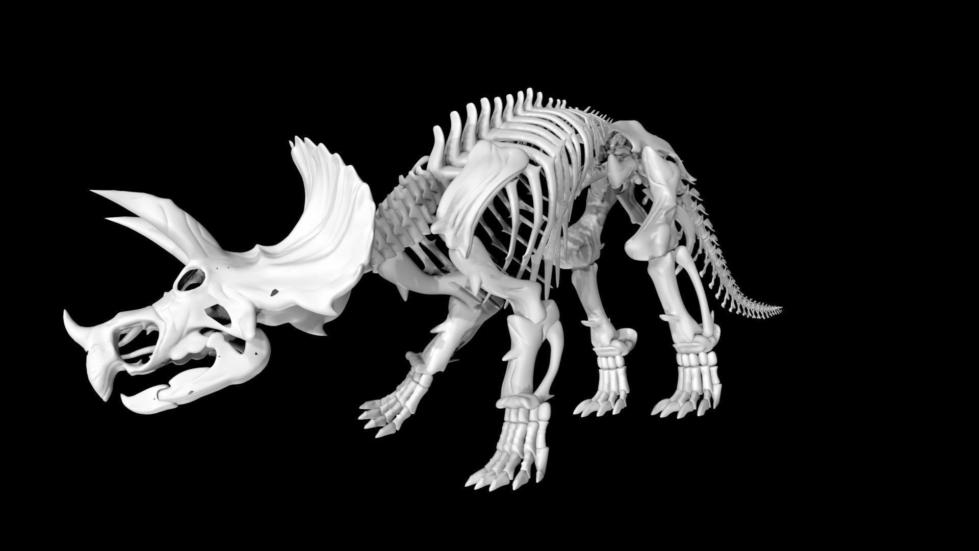 Triceratops skeleton Low-poly 3D model_3
