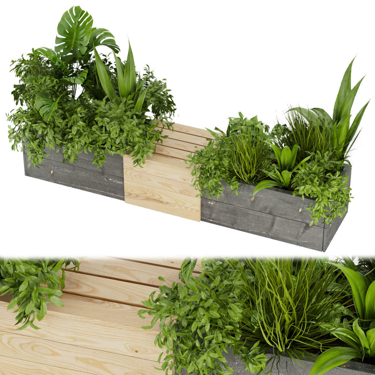 Collection plant vol 332 - indoor - leaf - monstera - banana 3D model_1