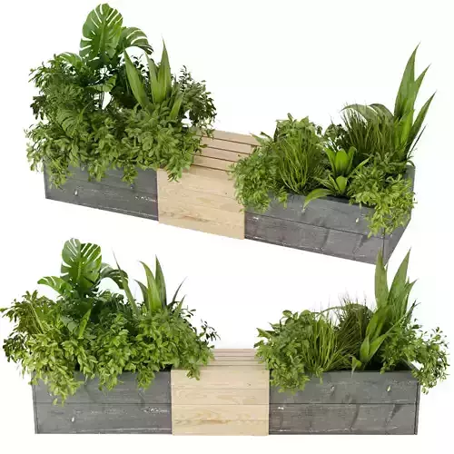 Collection plant vol 332 - indoor - leaf - monstera - banana