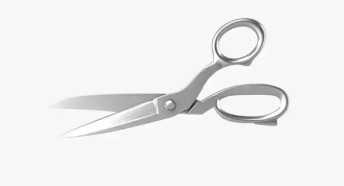 Scissors pair of