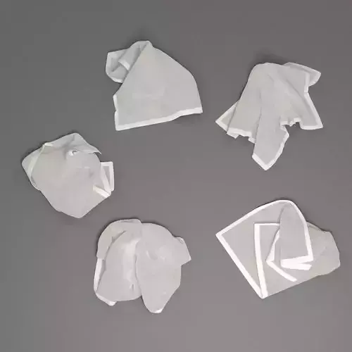 Towel Collection 2 napkin 3D model