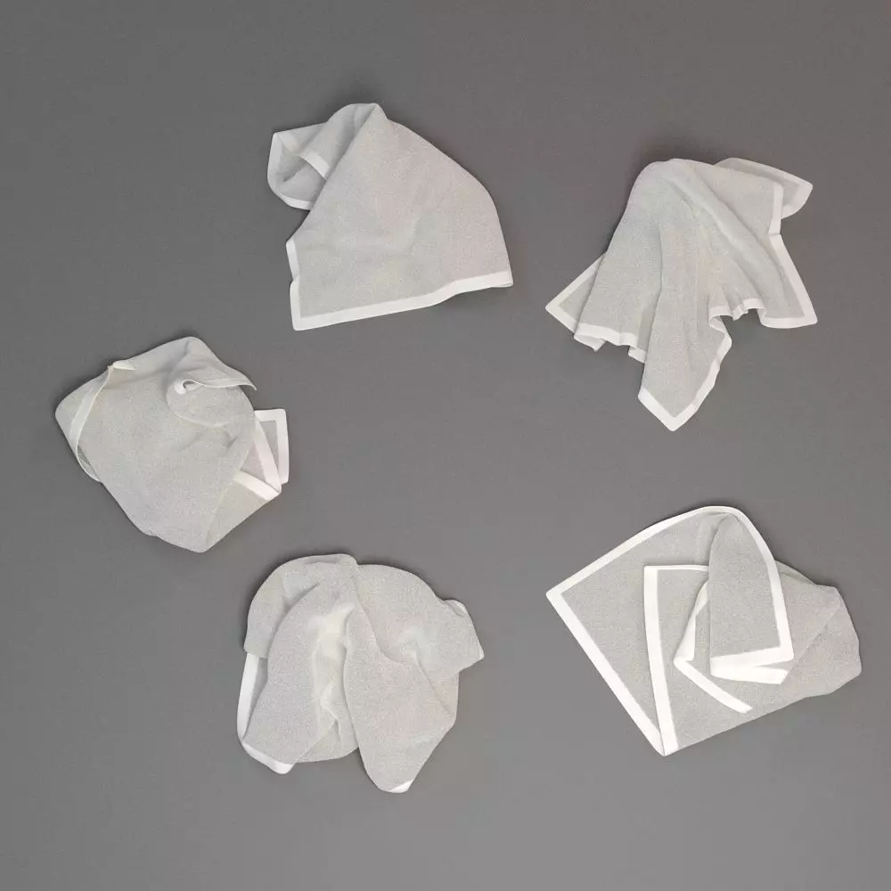 Towel Collection 2 napkin 3D model_0