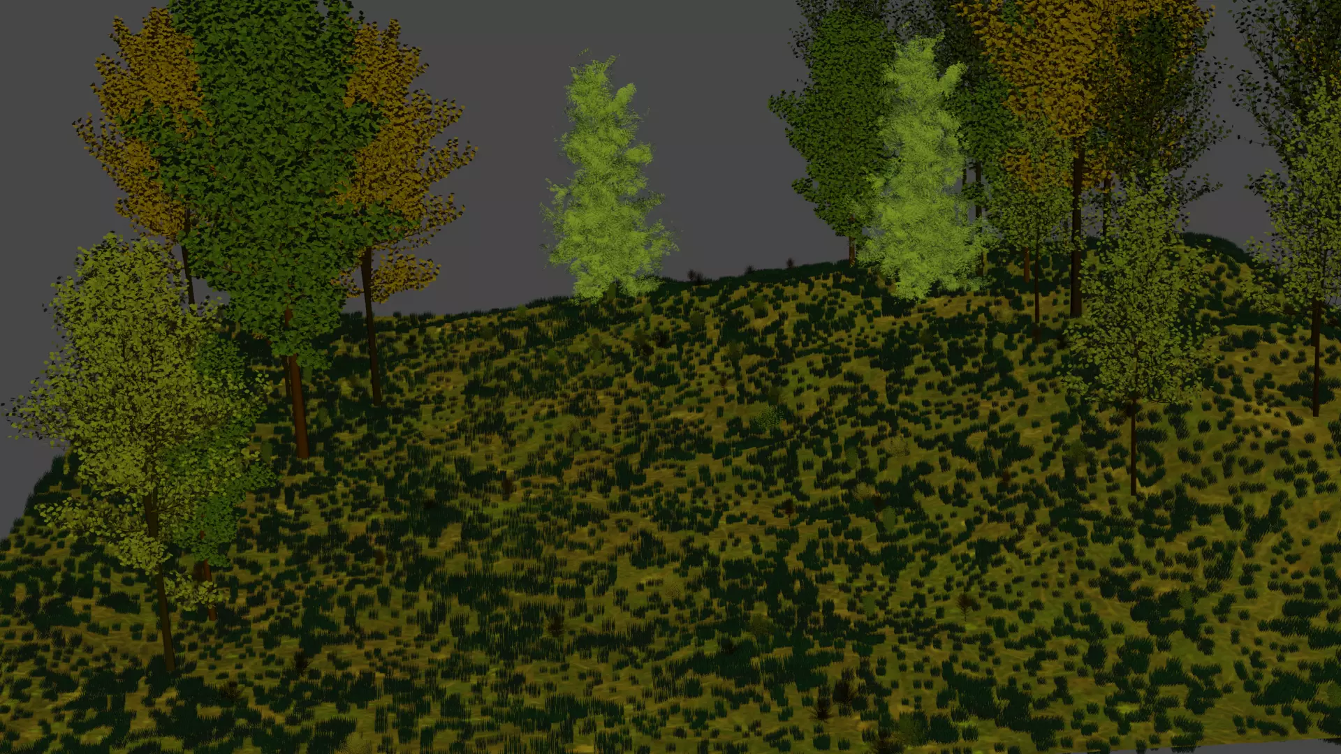 forest hill with trees and grass 3D model_0