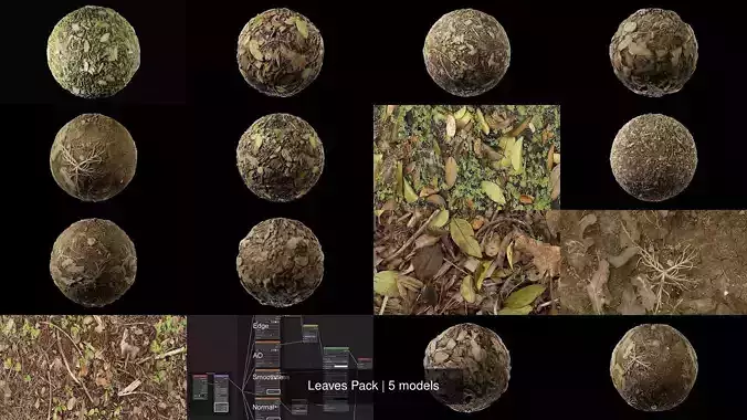 Leaves Pack Texture Leaves Pack Texture