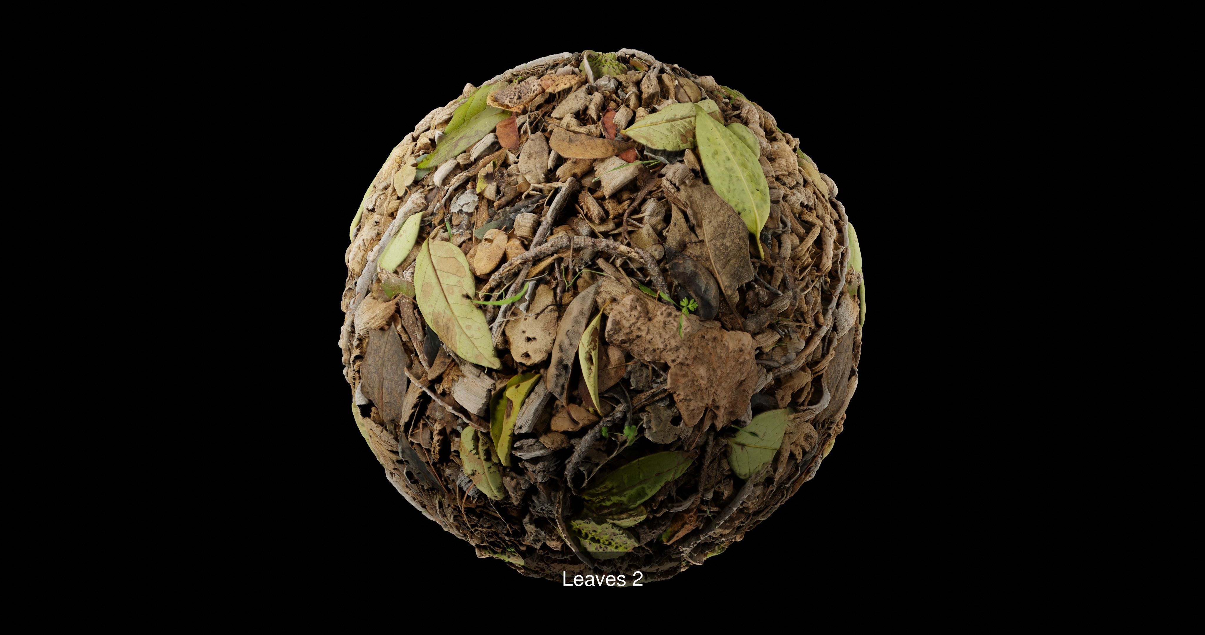 Leaves Pack Texture_2