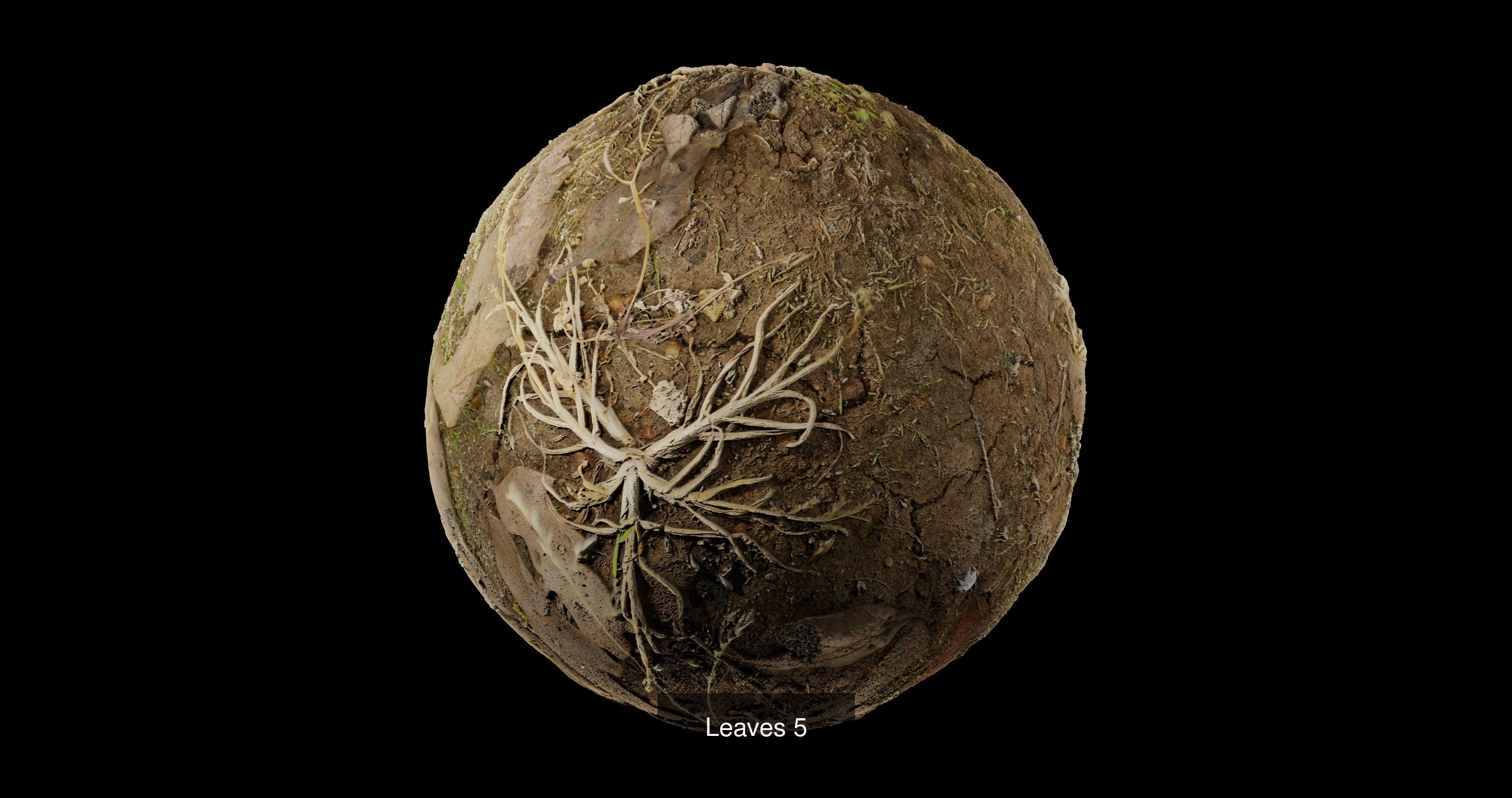 Leaves Pack Texture_5