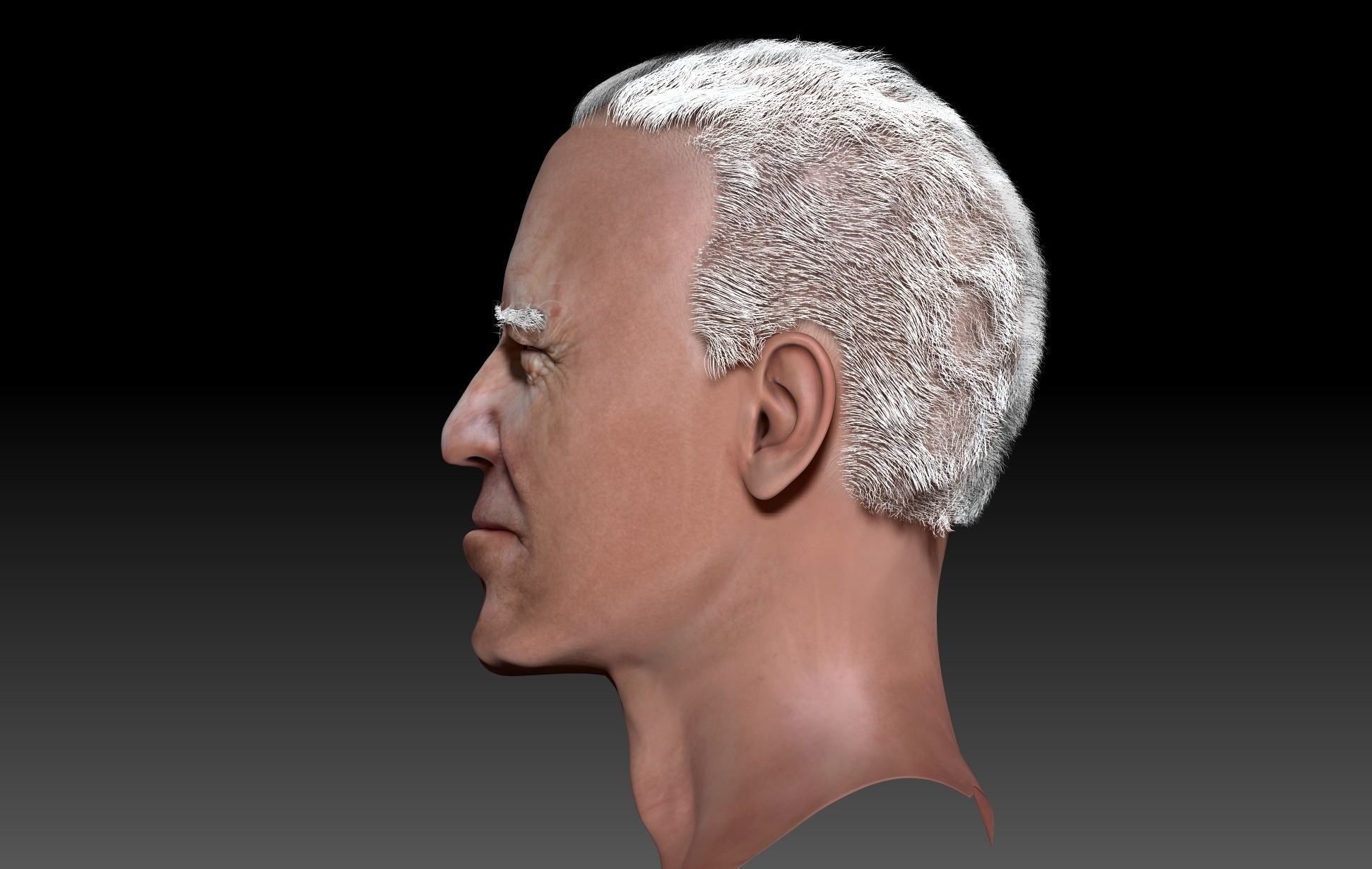 joe biden zbrush 3D Character design 3D model  3D model_11