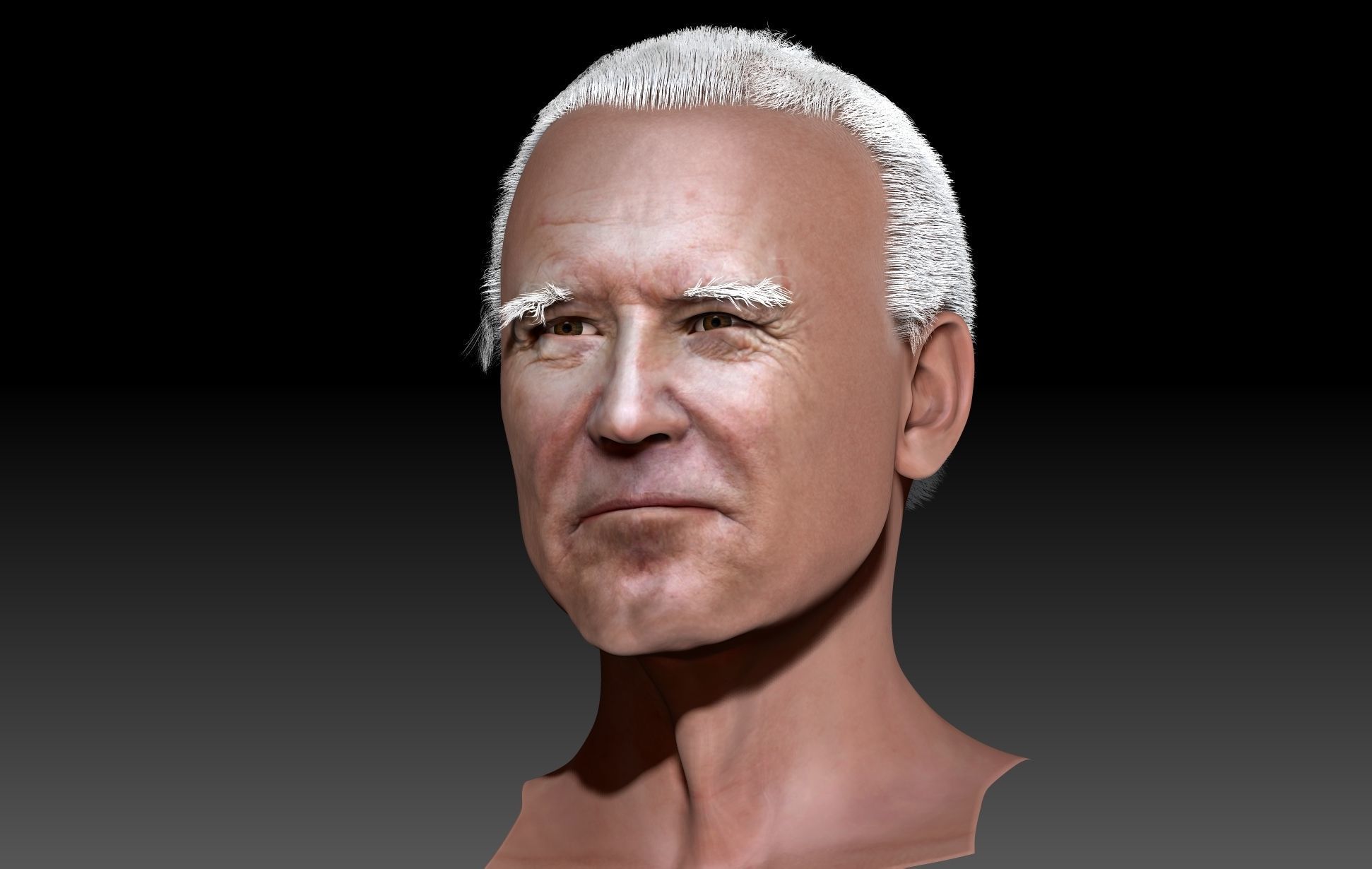 joe biden zbrush 3D Character design 3D model  3D model_8