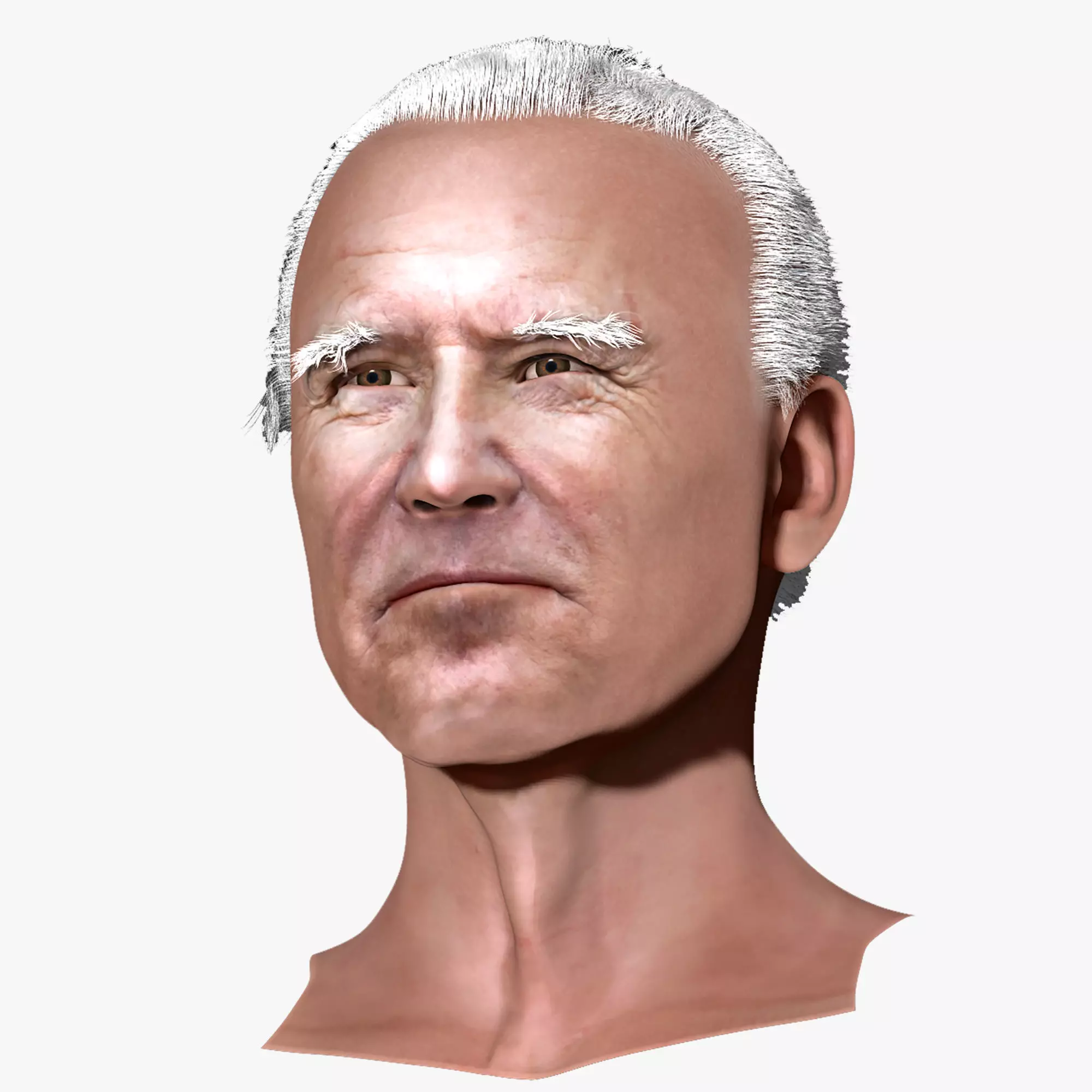 joe biden zbrush 3D Character design 3D model  3D model_0