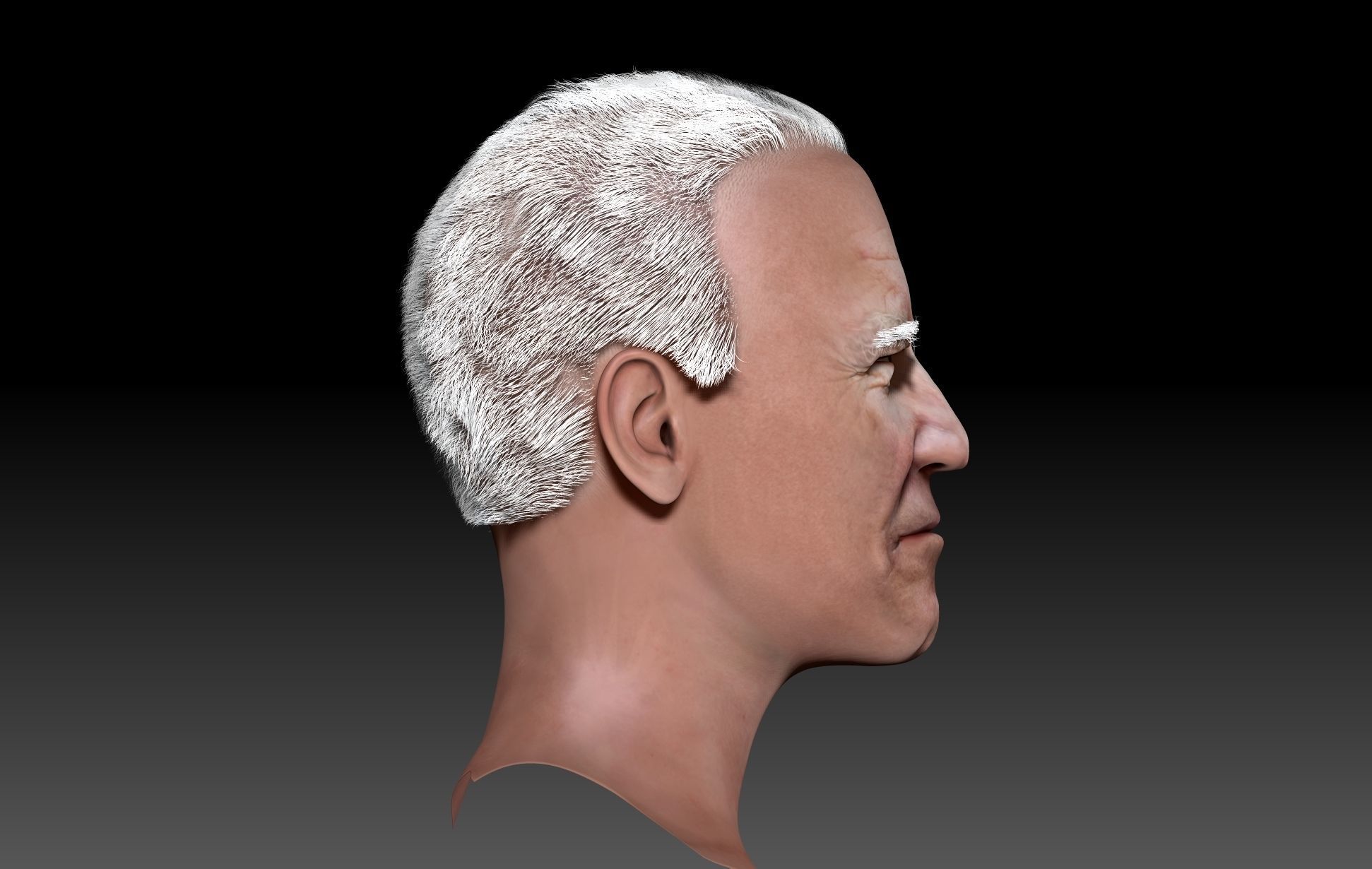 joe biden zbrush 3D Character design 3D model  3D model_7