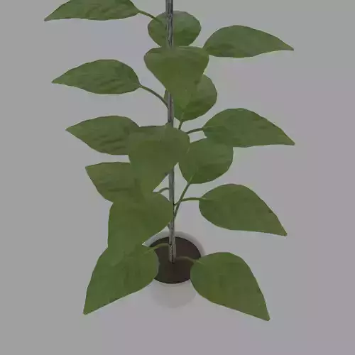 Small decorative pot tree